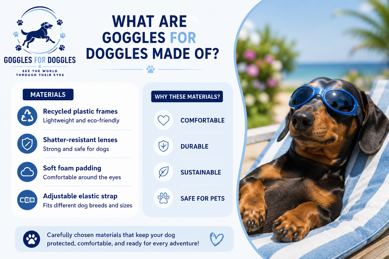 Sausage dog relaxing in blue Goggles For Doggles